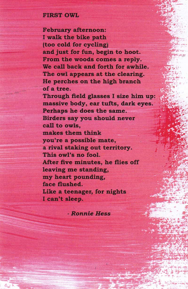 text/image of "First Owl"